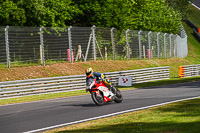 brands-hatch-photographs;brands-no-limits-trackday;cadwell-trackday-photographs;enduro-digital-images;event-digital-images;eventdigitalimages;no-limits-trackdays;peter-wileman-photography;racing-digital-images;trackday-digital-images;trackday-photos